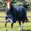 Buster 40g Turnout Rug With Classic Neck Cover -Premier Equine Store Buster40 Navy 1