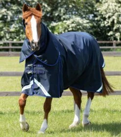 Buster 40g Turnout Rug With Classic Neck Cover