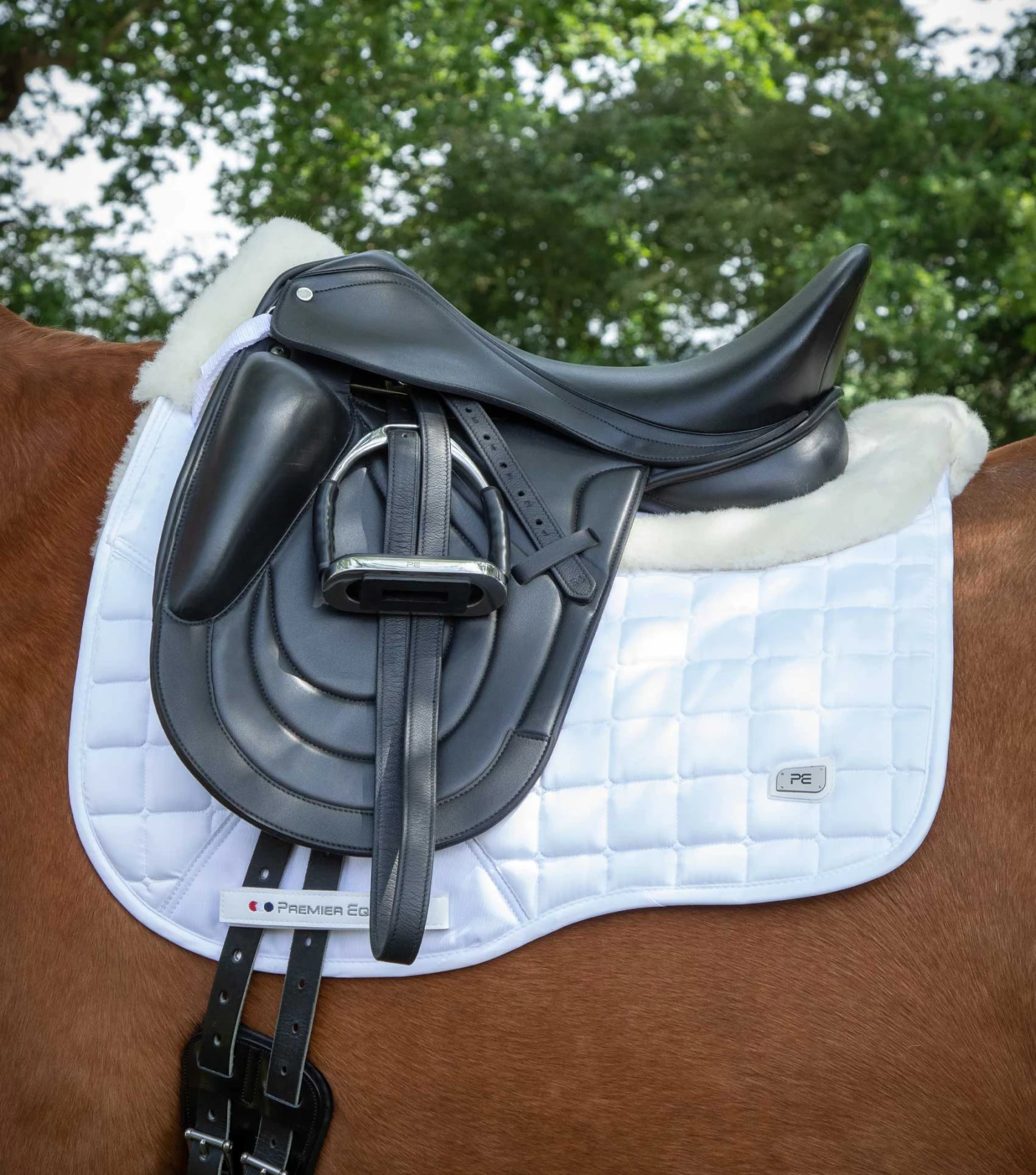 Bletchley Synthetic Monoflap Dressage Saddle Bletchley Synthetic Monoflap Dressage Saddle -Premier Equine Store Capella CC Merino Wool Dressage Square White Natural 7 0caeae5a ce8b 4ac6 bdca 71fe9e5e39a6