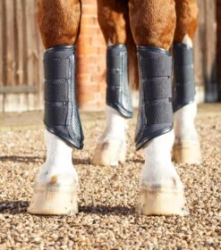 Carbon Air-Tech Single Locking Brushing Boots 4 Carbon Air-Tech Single Locking Brushing Boots -Premier Equine Store Carbon Air Tech Single Locking Brushing Boot Navy 3 936930b0 1747 40c3 b7ea 971f0b5340a2