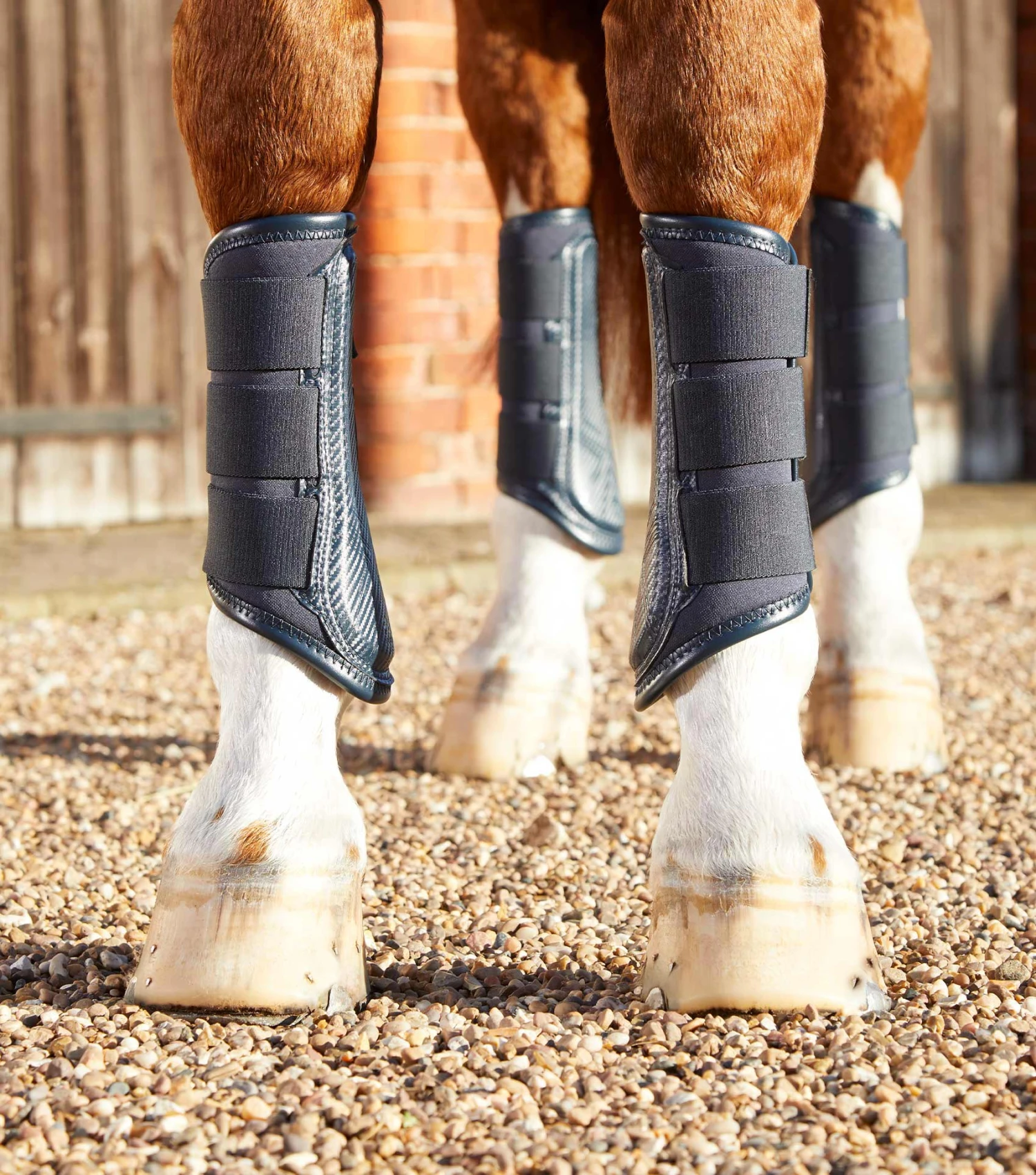 Carbon Air-Tech Single Locking Brushing Boots Carbon Air-Tech Single Locking Brushing Boots -Premier Equine Store Carbon Air Tech Single Locking Brushing Boot Navy 3 936930b0 1747 40c3 b7ea 971f0b5340a2