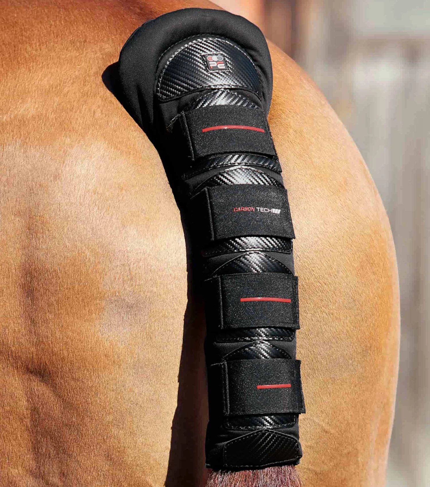 Carbon Tech Anti-Slip Tail Guard Carbon Tech Anti-Slip Tail Guard -Premier Equine Store Carbon Tech Anti Slip Tail Guard Black 1