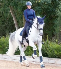 Close Contact Merino Wool European Saddle Pad - Dressage Square -Premier Equine Store Close Contact Merino Wool European Half Lined Dressage Square Navy 7 18361eb9 e764 4432 a80c ee401a004617