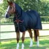 Combo Buster Waffle Horse Cooler Rug 2 Combo Buster Waffle Horse Cooler Rug -Premier Equine Store Combo Buster Waffle Cooler Rug Black 1 fad106e0 d7ee 4a21 8e94 5b651aaa1209