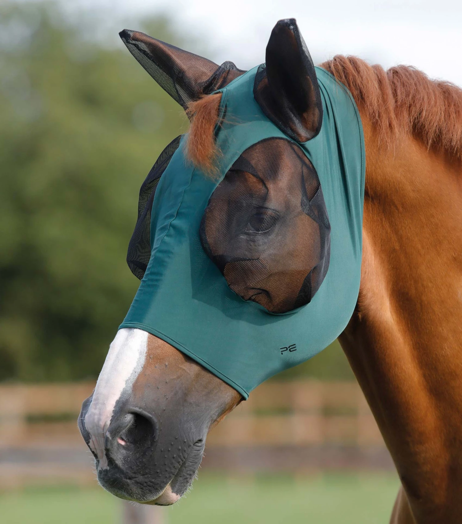 Comfort Tech Lycra Fly Mask Comfort Tech Lycra Fly Mask -Premier Equine Store Comfort Tech Lycra Fly Mask Green 1 e7334a93 8776 474f aa22 d326f8a2ff90