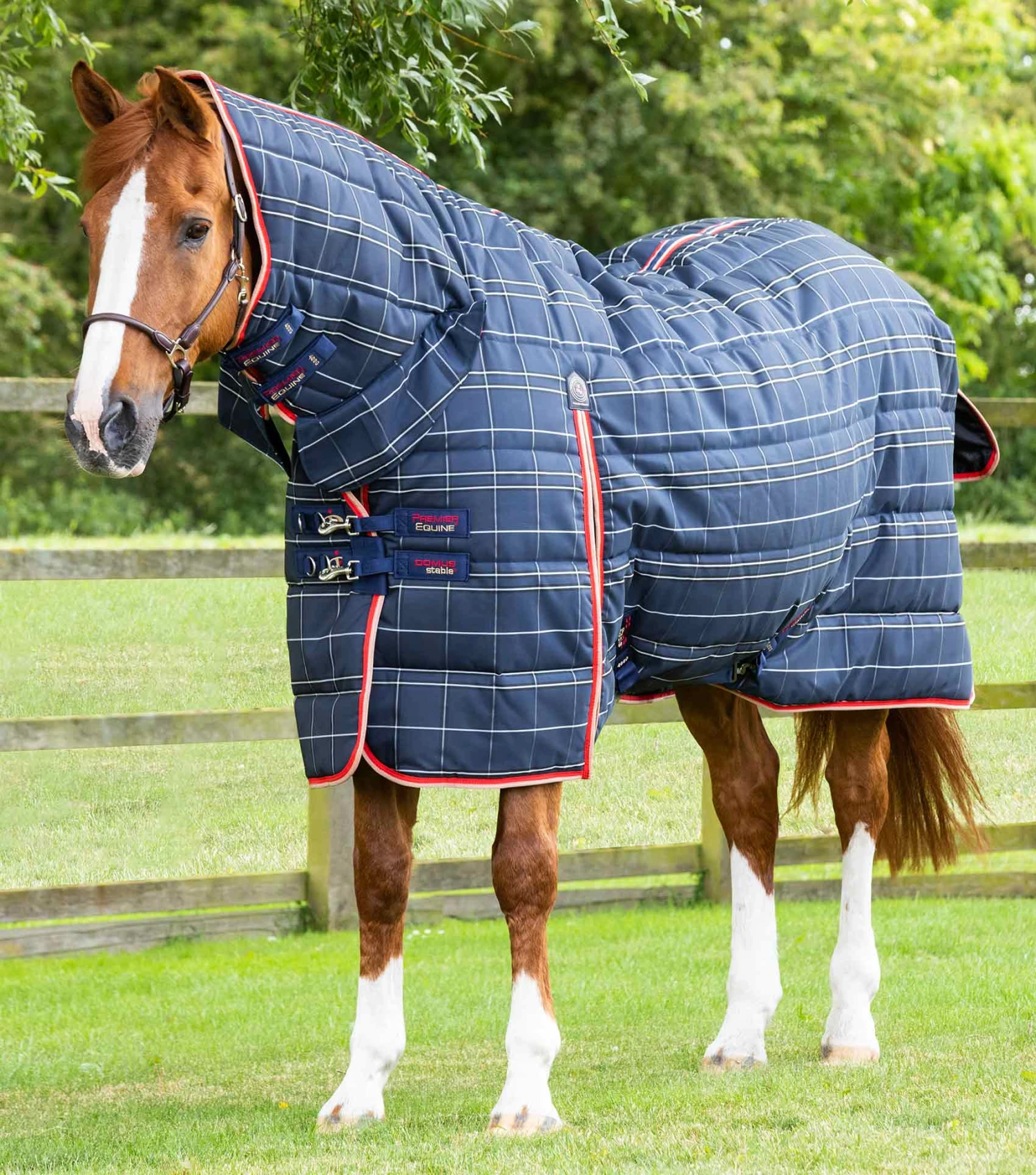 Domus 400g Combo Stable Rug Domus 400g Combo Stable Rug -Premier Equine Store Domus 400 Stable Rug Navy 1 78349d62 cce1 4d95 b9e0 7fa7ee80ef8f
