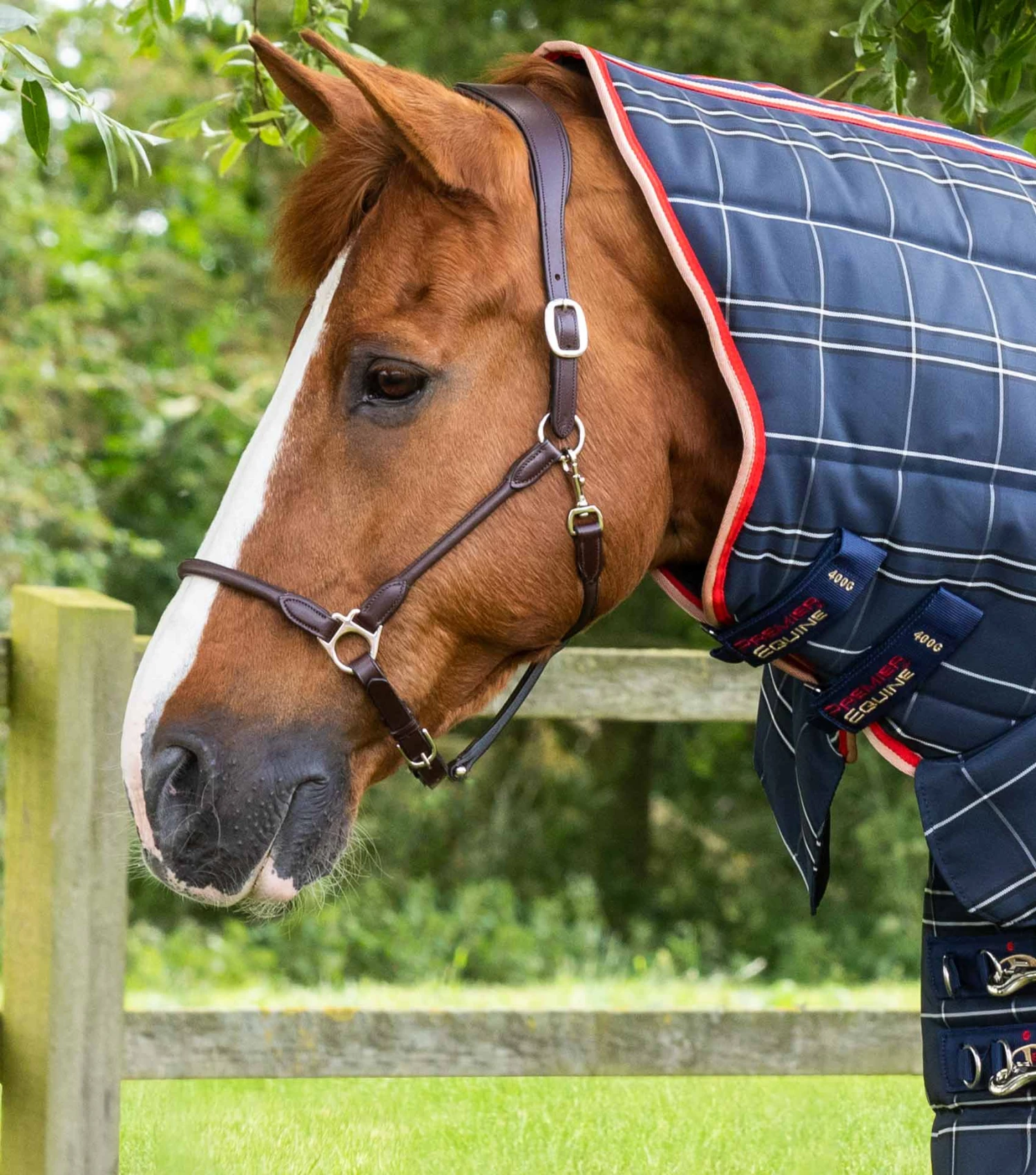 Domus 400g Combo Stable Rug Domus 400g Combo Stable Rug -Premier Equine Store Domus 400 Stable Rug Navy 2