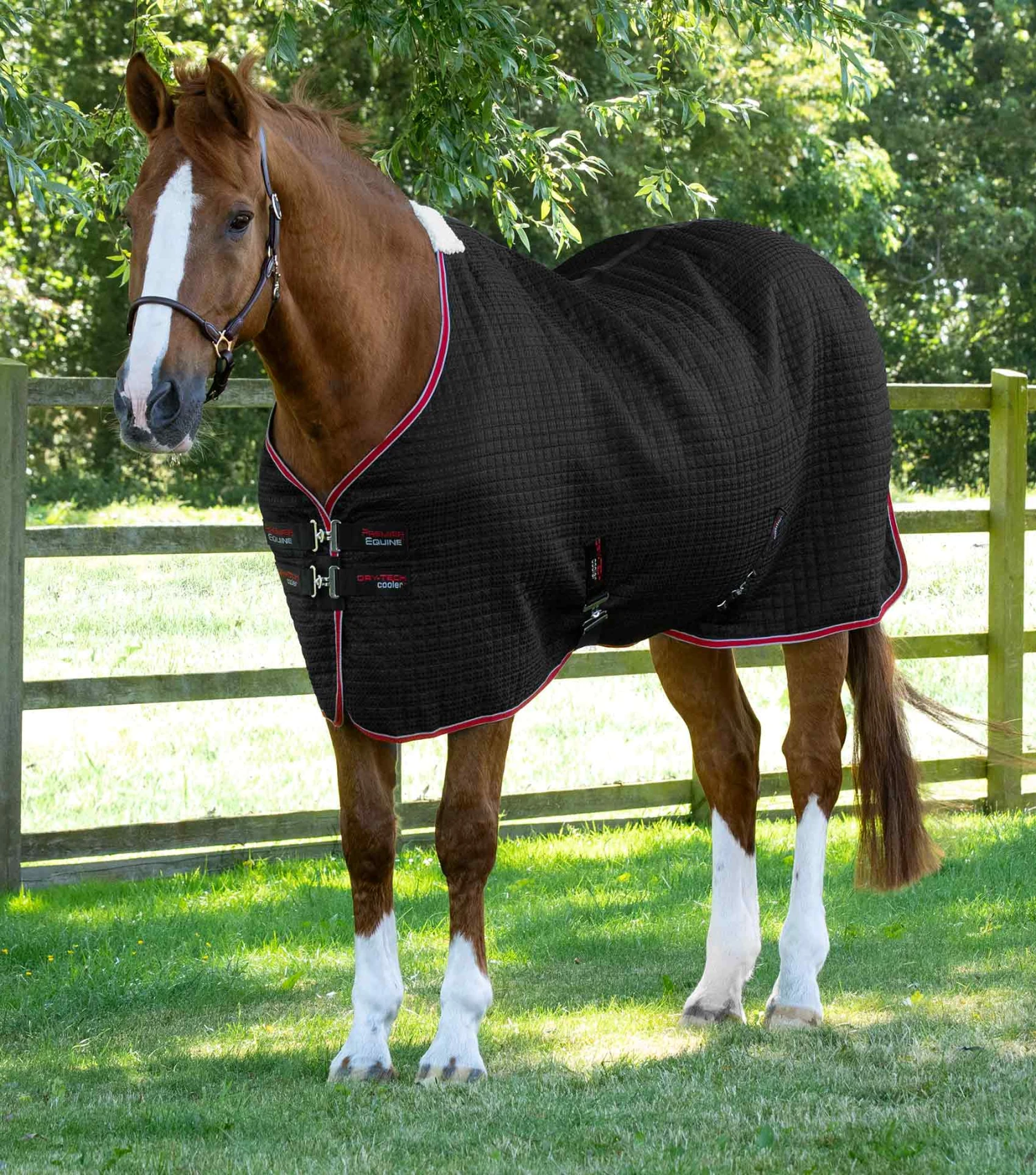 Dry-Tech Horse Cooler Rug Dry-Tech Horse Cooler Rug -Premier Equine Store Dry Tech Cooler Rug Black 1