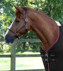 Dry-Tech Horse Cooler Rug 7 Dry-Tech Horse Cooler Rug -Premier Equine Store Dry Tech Cooler Rug Black 2