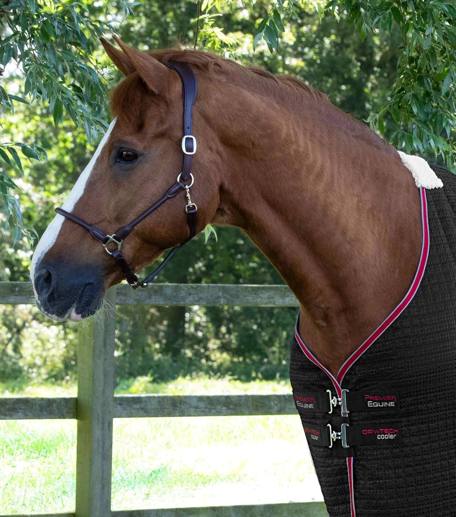 Dry-Tech Horse Cooler Rug Dry-Tech Horse Cooler Rug -Premier Equine Store Dry Tech Cooler Rug Black 2