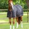 Garissa Stable Rug 100g
