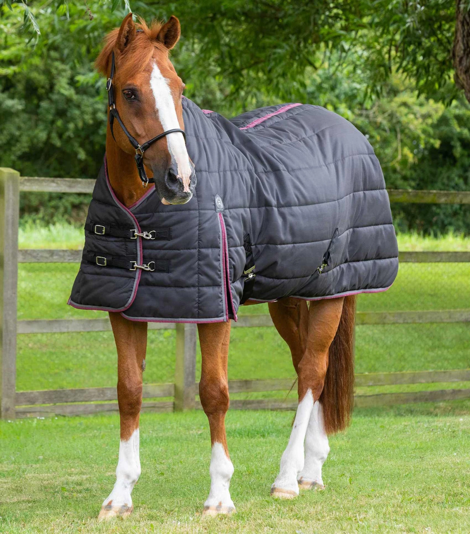 Garissa Stable Rug 200g Garissa Stable Rug 200g -Premier Equine Store Garissa Stable 200 Black 1