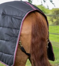 Garissa Stable Rug 200g 11 Garissa Stable Rug 200g -Premier Equine Store Garissa Stable 200 Black 6