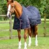 Garissa Stable Rug 200g