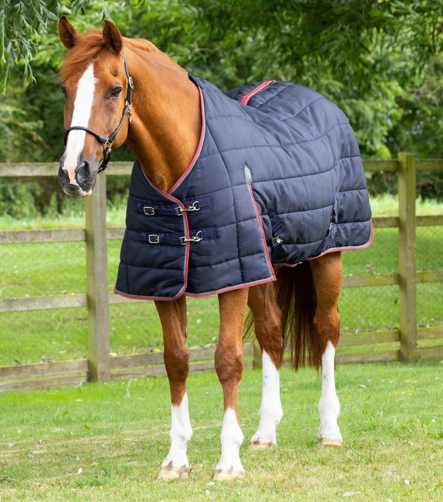 Garissa Stable Rug 200g Garissa Stable Rug 200g -Premier Equine Store Garissa Stable 200 Navy 1