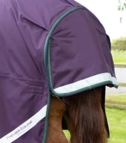 Buster Hardy 100g Half Neck Turnout Rug 6 Buster Hardy 100g Half Neck Turnout Rug -Premier Equine Store Hardy Purple 6