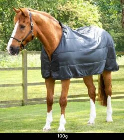 100g Horse Rug Liner