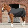 Horse Walker Rug 100g 1 Horse Walker Rug 100g -Premier Equine Store Horse Walker Rug 100 Black 1