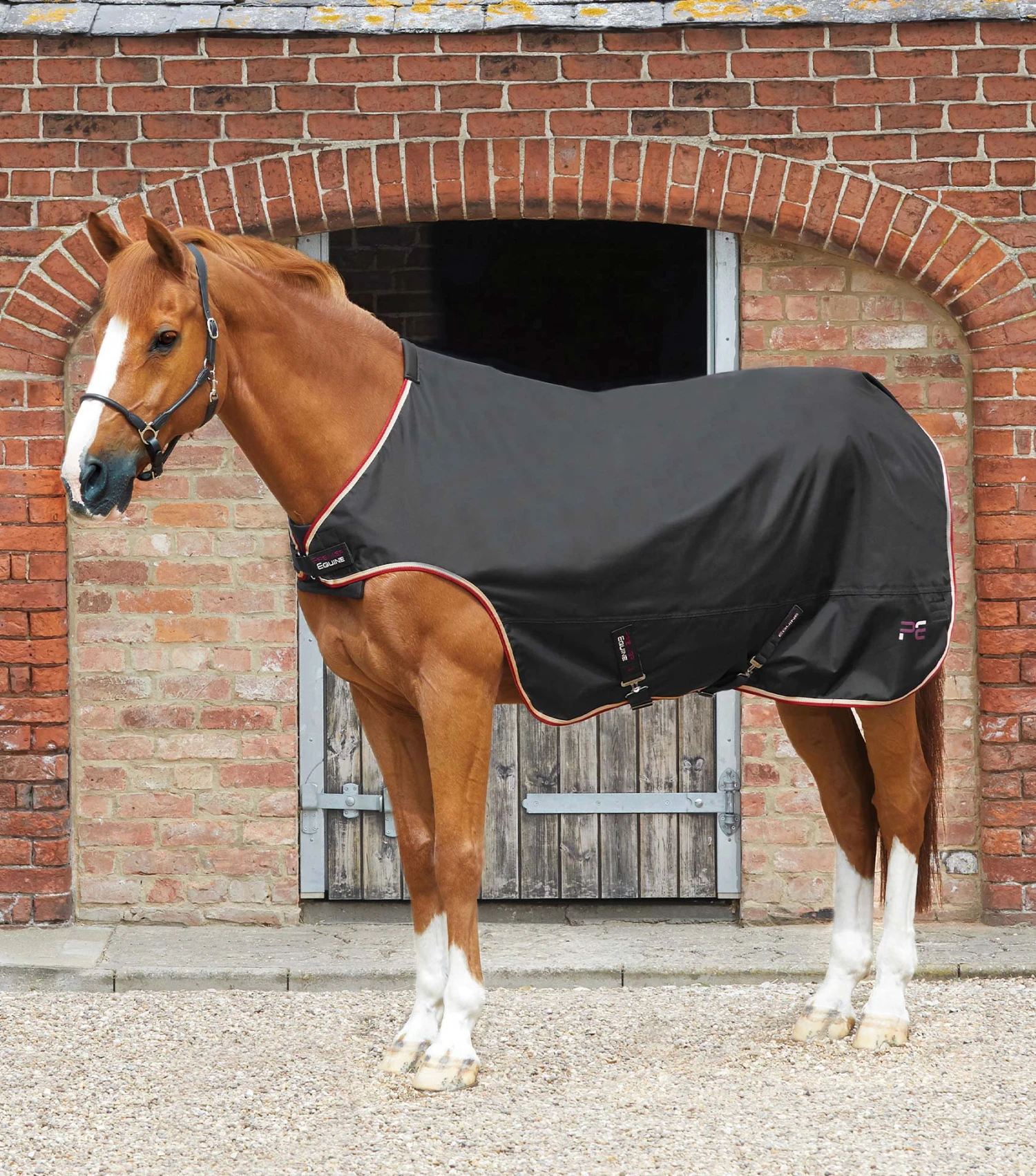 Horse Walker Rug 100g Horse Walker Rug 100g -Premier Equine Store Horse Walker Rug 100 Black 1