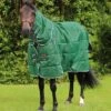 Hydra 200g Stable Rug With Neck Cover 1 Hydra 200g Stable Rug With Neck Cover -Premier Equine Store Hydra Stable Rug 200 Green 1