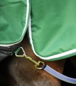 Hydra 200g Stable Rug With Neck Cover -Premier Equine Store Hydra Stable Rug 200 Green 5
