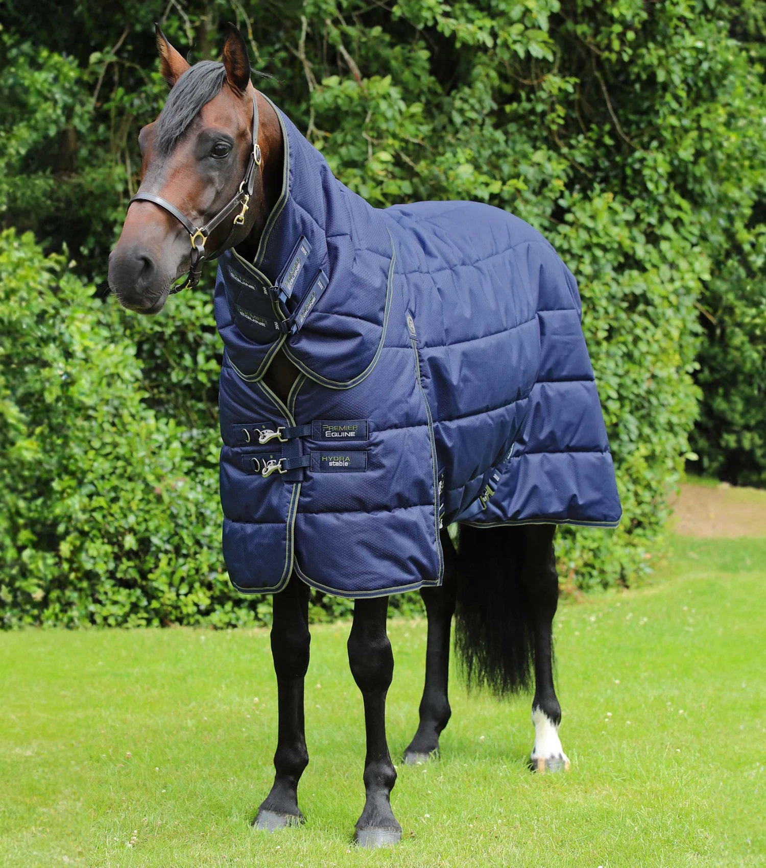 Hydra 350g Stable Rug with Neck Cover Hydra 350g Stable Rug With Neck Cover -Premier Equine Store Hydra Stable Rug 350 Navy 1