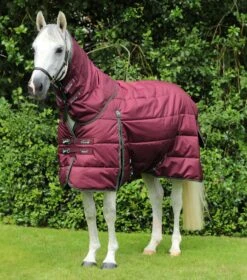 Hydra 350g Stable Rug With Neck Cover 8 Hydra 350g Stable Rug With Neck Cover -Premier Equine Store Hydra Stable Rug 350 Wine 1