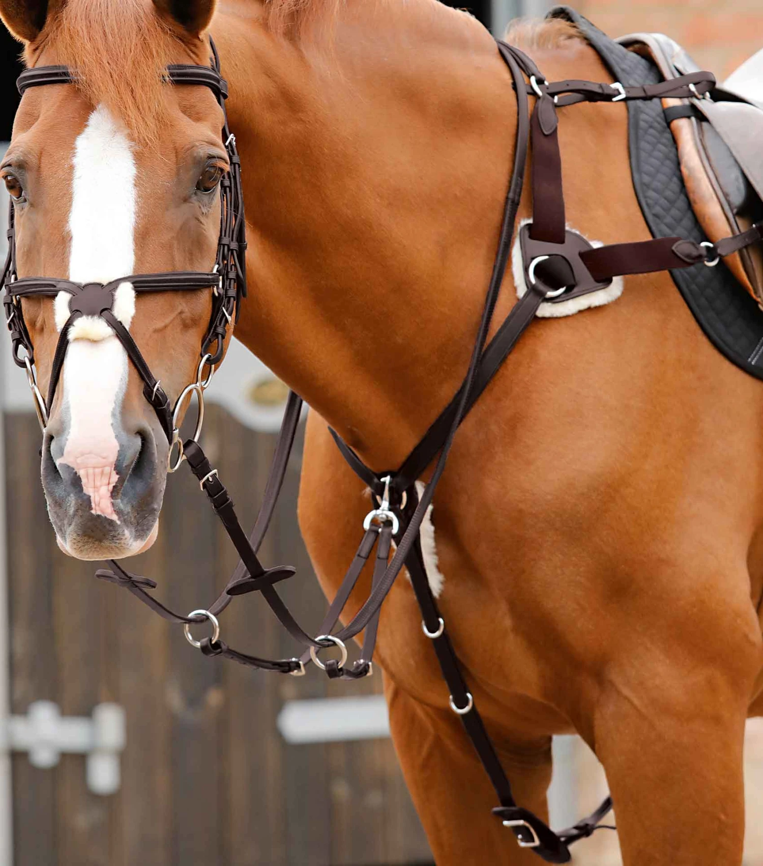 Invorio 5 Point Breastplate Invorio 5 Point Breastplate -Premier Equine Store Invorio 5 Point Breastplate Brown 1 89e9f6a7 6819 4251 a2c1 d5b85ed5f979