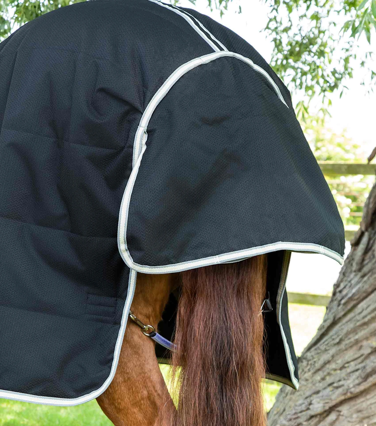 Lucanta Demi Stable 100g Lucanta Demi Stable 100g -Premier Equine Store Lucanta Demi Stable Black Image 6 RGB