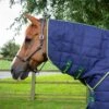 Lucanta Stable 450g Neck Cover (200g Fill) -Premier Equine Store Lucanta Stable 450g Stable Rug 2