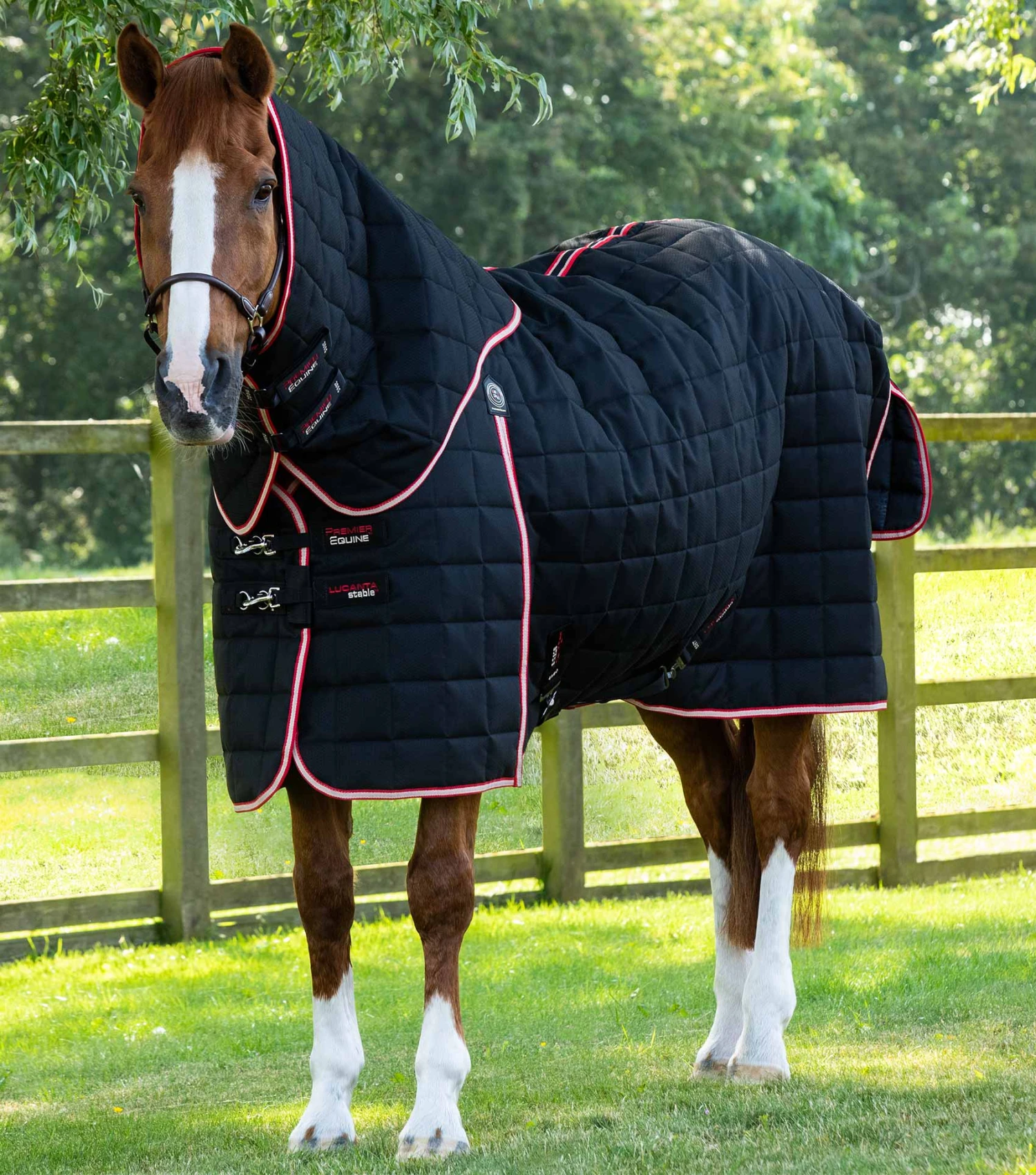 Lucanta 450g Stable Rug with Neck Cover Lucanta 450g Stable Rug With Neck Cover -Premier Equine Store Lucanta Stable 450g with Detachable Neck Black 1