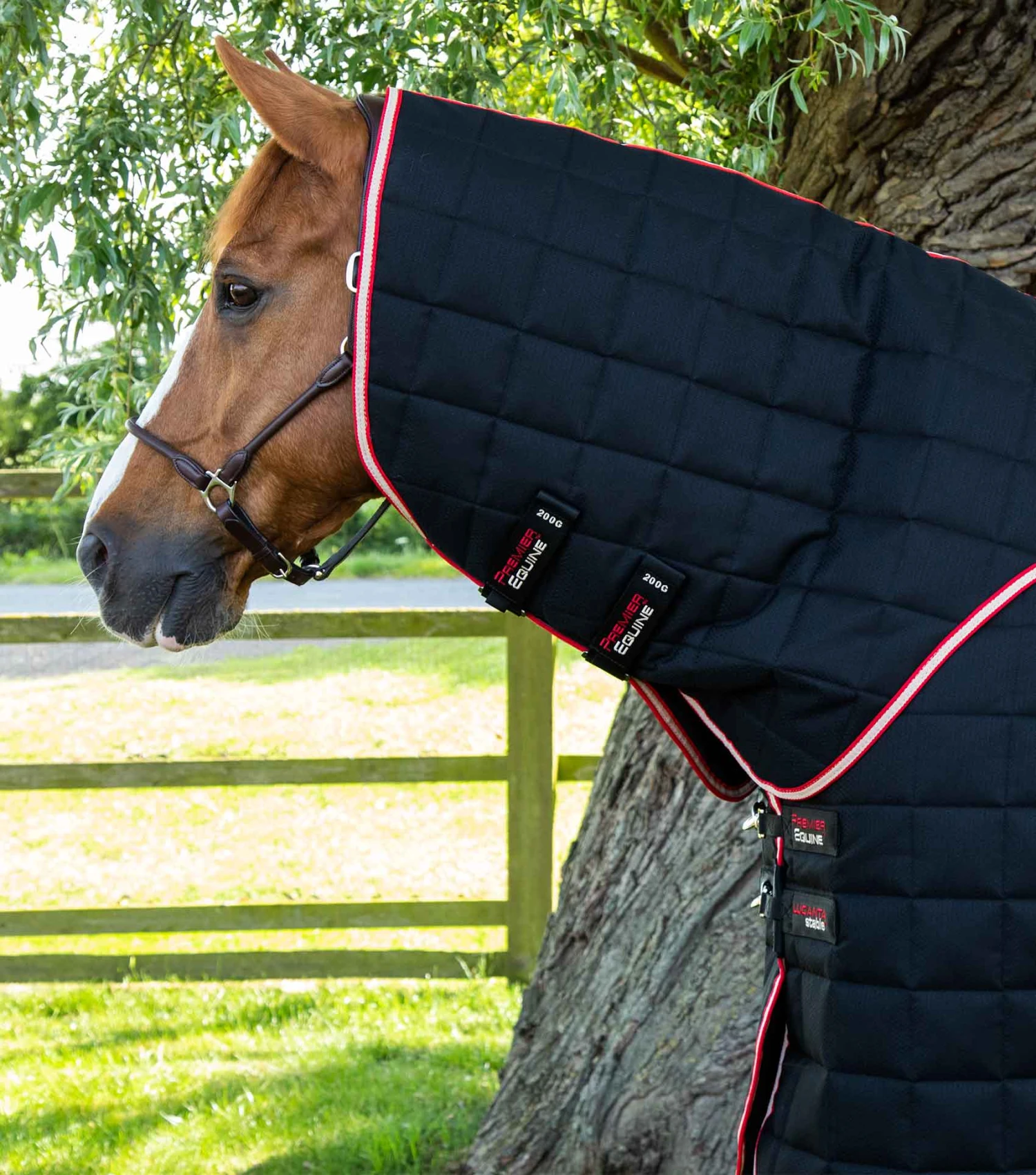 Lucanta 450g Stable Rug with Neck Cover Lucanta 450g Stable Rug With Neck Cover -Premier Equine Store Lucanta Stable 450g with Detachable Neck Black 2