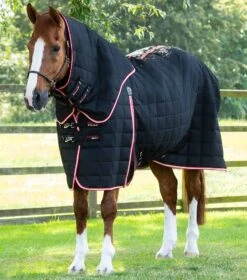 Lucanta 200g Stable Rug With Neck Cover -Premier Equine Store Lucanta Stable Black Image 1 RGB