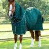Lucanta 200g Stable Rug With Neck Cover 1 Lucanta 200g Stable Rug With Neck Cover -Premier Equine Store Lucanta Stable Green Image1 RGB