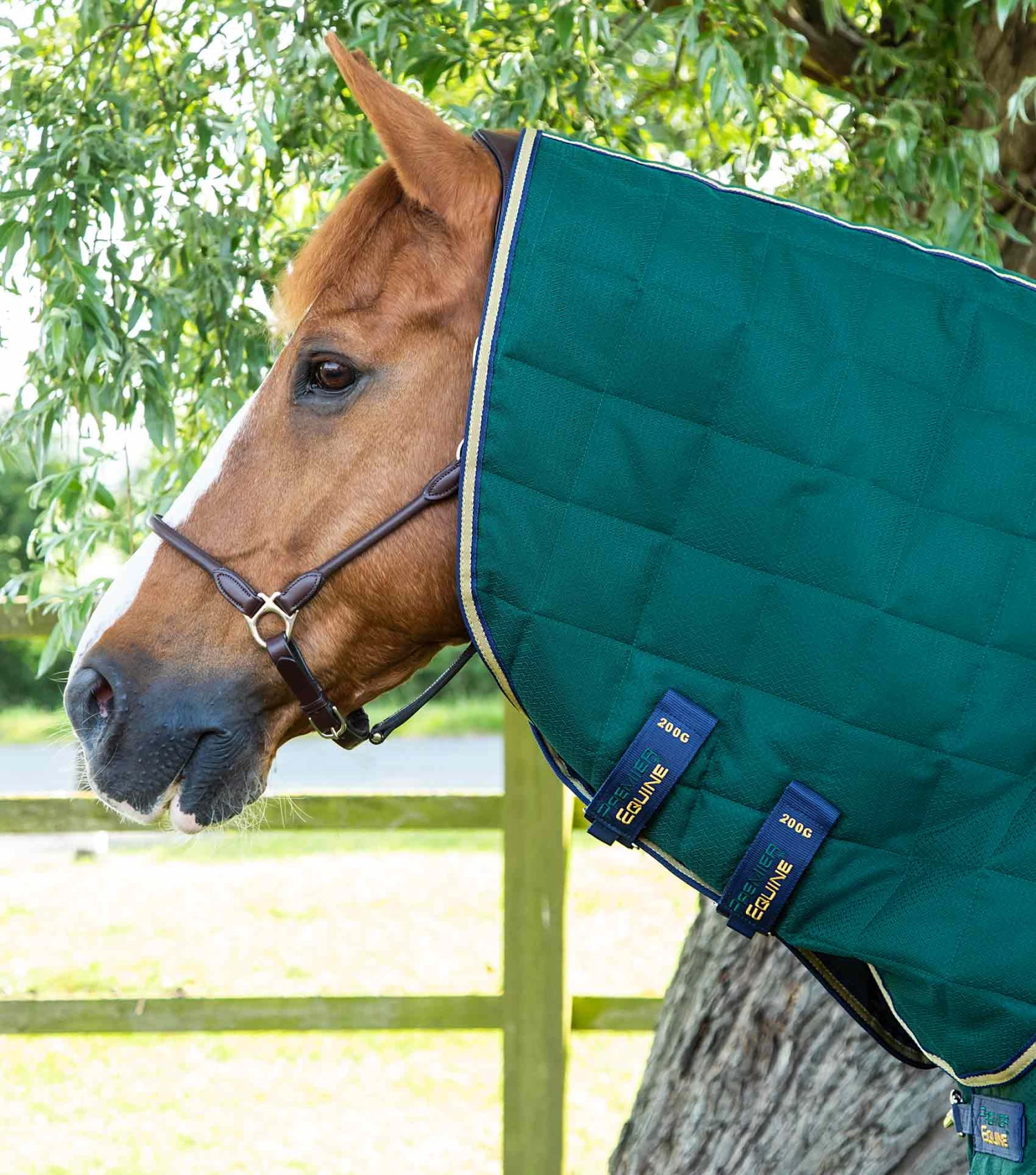 Lucanta Stable 200g Neck Cover (200g Fill) Lucanta Stable 200g Neck Cover (200g Fill) -Premier Equine Store Lucanta Stable Green Image2 RGB 23e2e009 3142 4061 832b aa948884c766