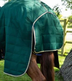 Lucanta 200g Stable Rug With Neck Cover -Premier Equine Store Lucanta Stable Green Image6 RGB