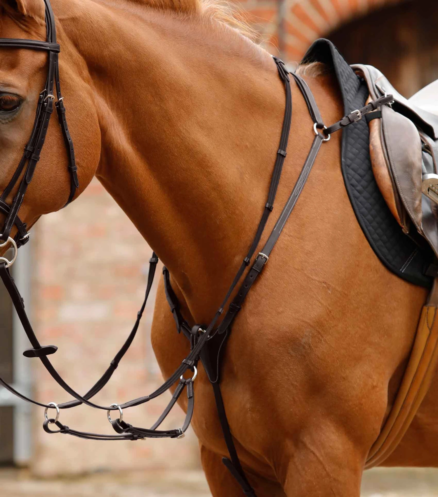 Norbello Hunter Breastplate Norbello Hunter Breastplate -Premier Equine Store Norbello Hunter Breastplate Brown 1