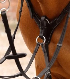 Norbello Hunter Breastplate 9 Norbello Hunter Breastplate -Premier Equine Store Norbello Hunter Breastplate Brown 2