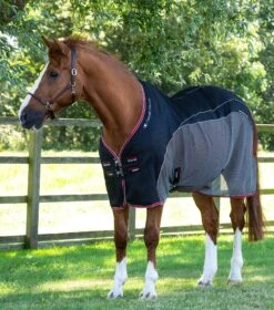 Premier Equine Sports Cooler Rug -Premier Equine Store PE Sport Cooler Rug Black 1 123fe01d 38ea 443c b949 6d32a9c25985