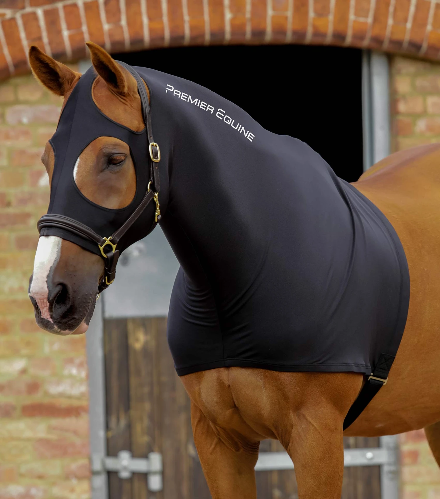 PE Stretch Lycra Hood PE Stretch Lycra Hood -Premier Equine Store PE Stretch Lycra Hood Black 1
