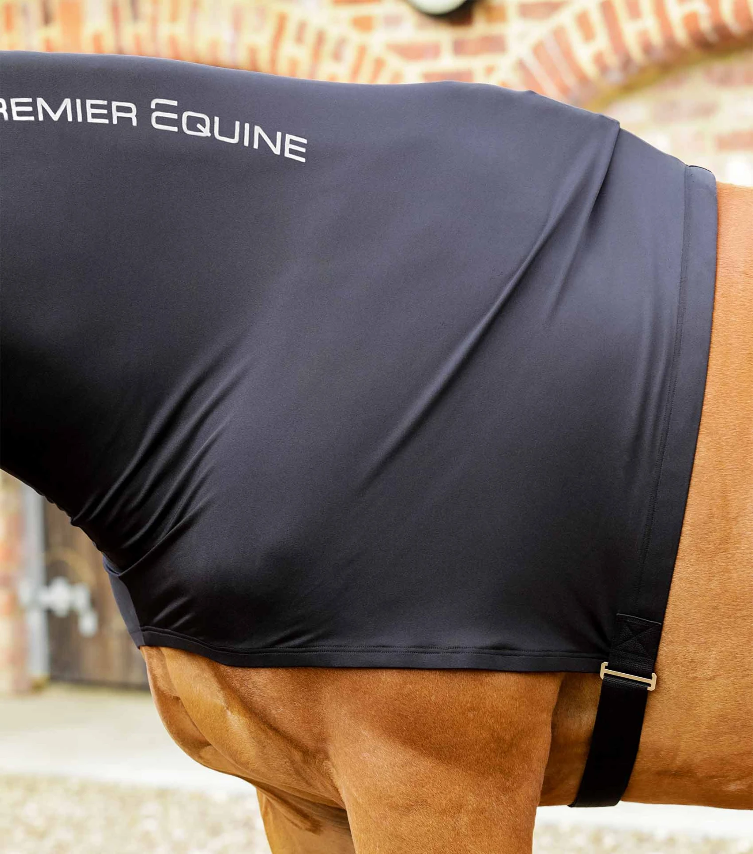 PE Stretch Lycra Hood PE Stretch Lycra Hood -Premier Equine Store PE Stretch Lycra Hood Black 3