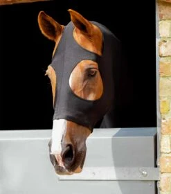 PE Stretch Lycra Hood 5 PE Stretch Lycra Hood -Premier Equine Store PE Stretch Lycra Hood Black 4