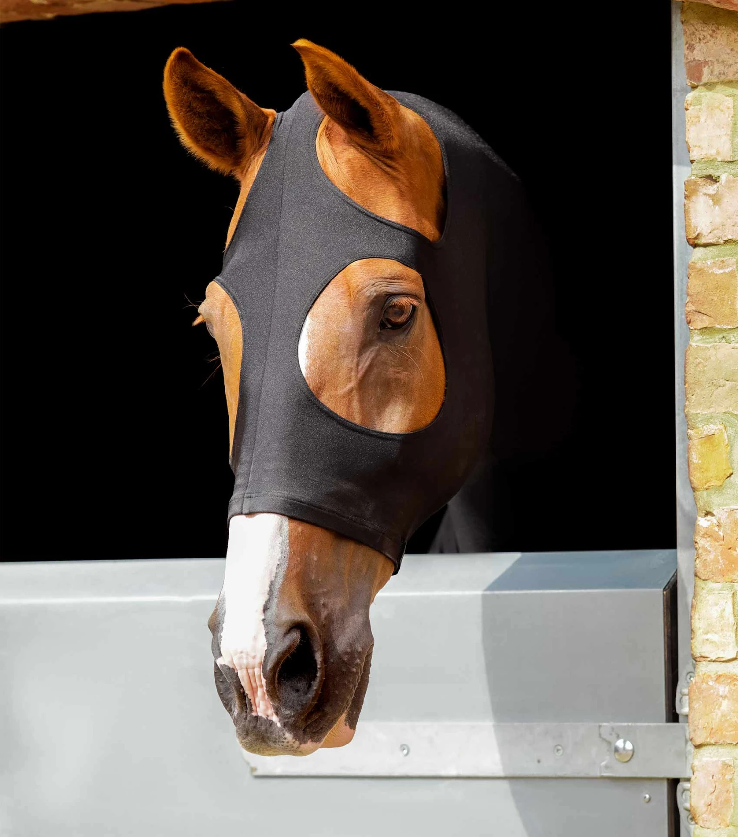 PE Stretch Lycra Hood PE Stretch Lycra Hood -Premier Equine Store PE Stretch Lycra Hood Black 4