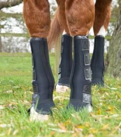 Turnout/ Mud Fever Boots 6 Turnout/ Mud Fever Boots -Premier Equine Store PE111120 Over reach boots IZ0A9557 web