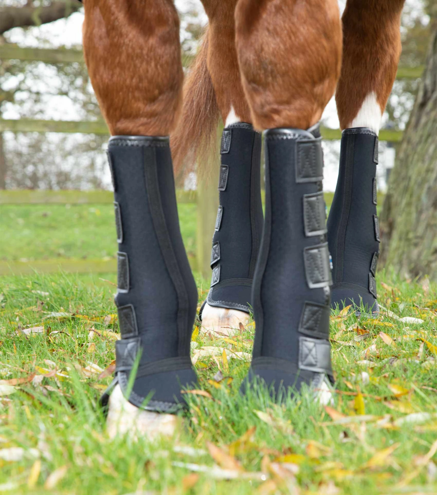 Turnout/ Mud Fever Boots Turnout/ Mud Fever Boots -Premier Equine Store PE111120 Over reach boots IZ0A9557 web