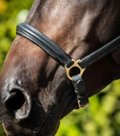 Rego Padded Leather Head Collar 8 Rego Padded Leather Head Collar -Premier Equine Store Padded Leather Head Collar Black 4