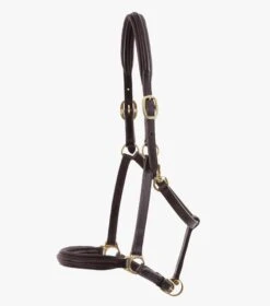 Rego Padded Leather Head Collar 5 Rego Padded Leather Head Collar -Premier Equine Store Padded Leather Head Collar Brown 6 6564f13a 30dd 48eb 95fd 369ae75233ef