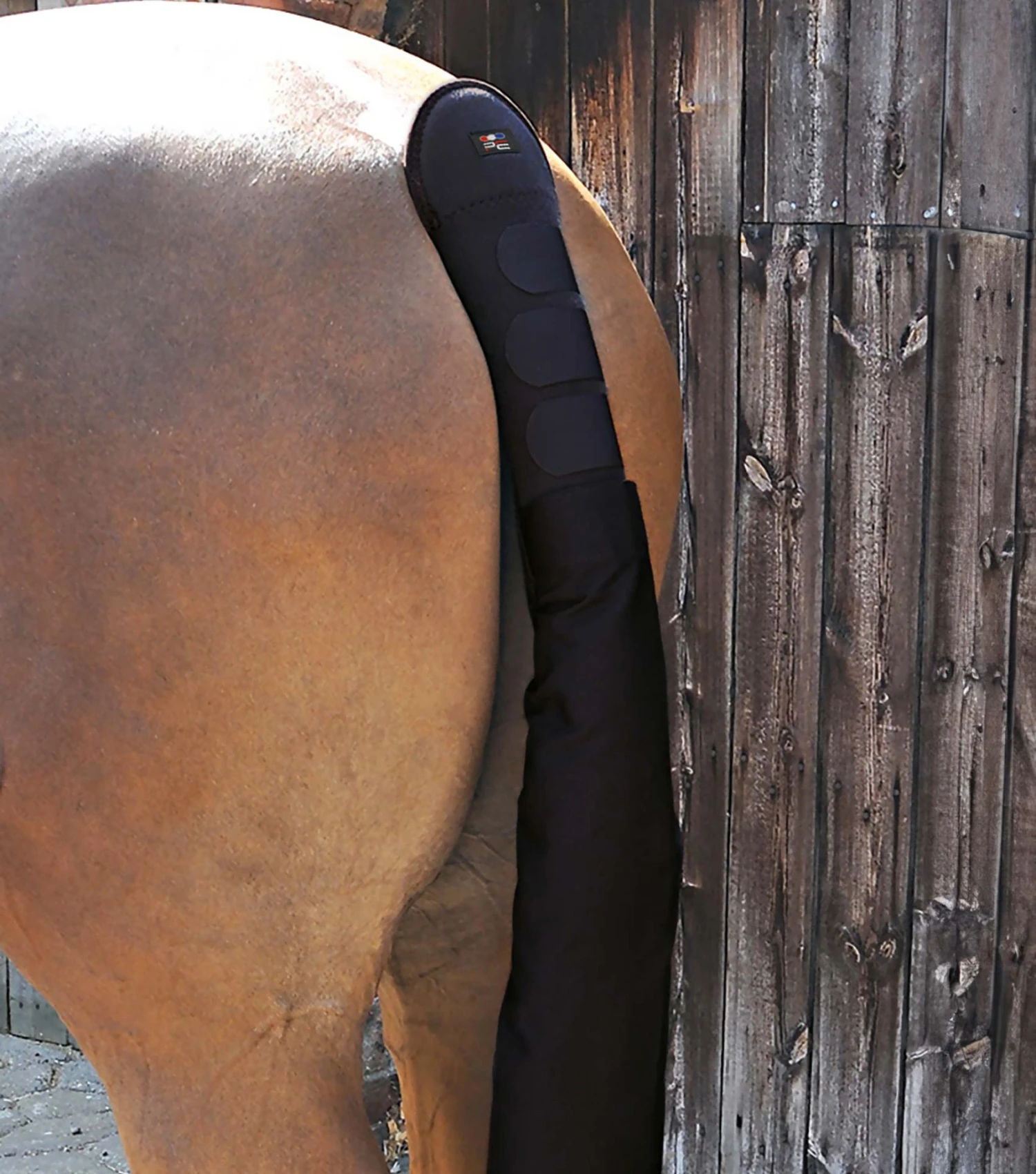 Padded Horse Tail Guard with Tail Bag Padded Horse Tail Guard With Tail Bag -Premier Equine Store Padded Tail Guard with Detachable Bag Black 1