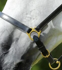 Pasco Plain Leather Head Collar -Premier Equine Store Plain Leather Head Collar black3