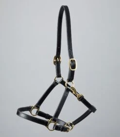 Pasco Plain Leather Head Collar -Premier Equine Store Plain Leather Head Collar black4